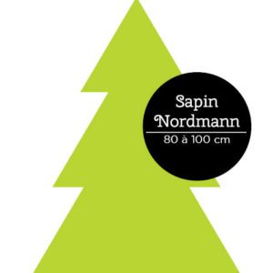 sapin nordmann 80-100