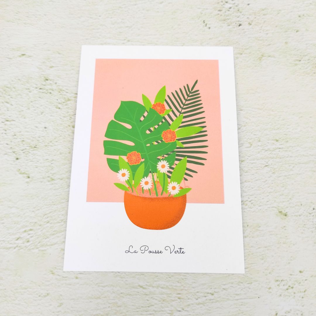 illustration bouquet fleurs orange carte postale box plante