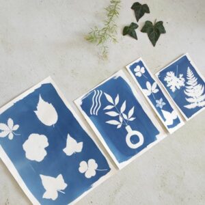 atelier cyanotype lyon villeurbanne photo bleu