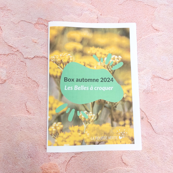 box plantes automne 2024 conseils jardinage feuillet